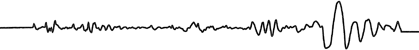 Waveform page header from Stein and Wysession